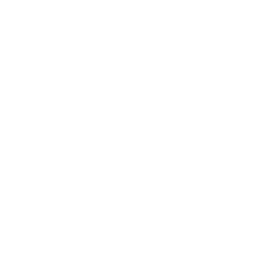 Mynt Logo